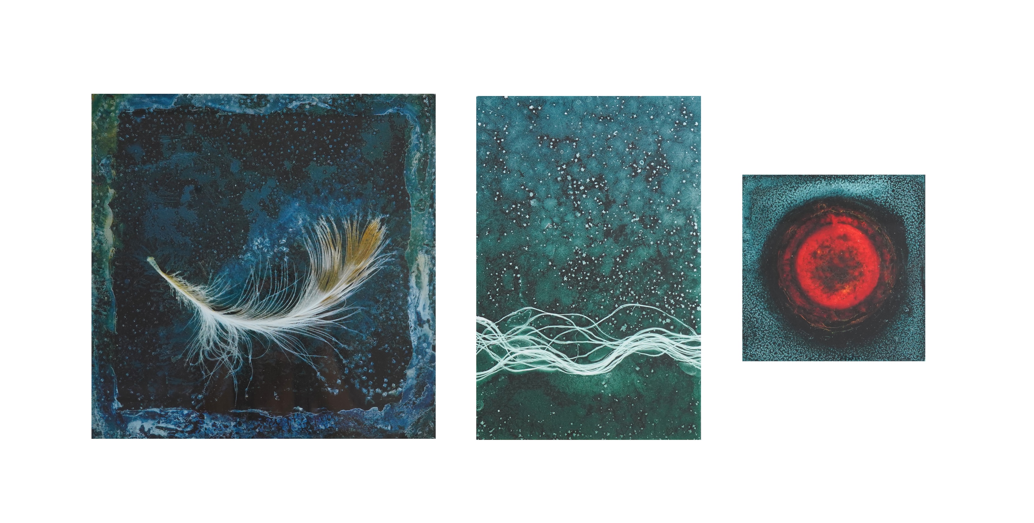 Paul Kenny (b.1951), three abstract photographic prints to include: Study of a feather and one limited edition 1/30, largest 38 x 36cm